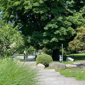 Ansicht Brunnengarten im Stadtpark Nürnberg