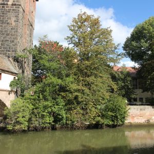 Blick auf den Uferbereich am Weinstadel