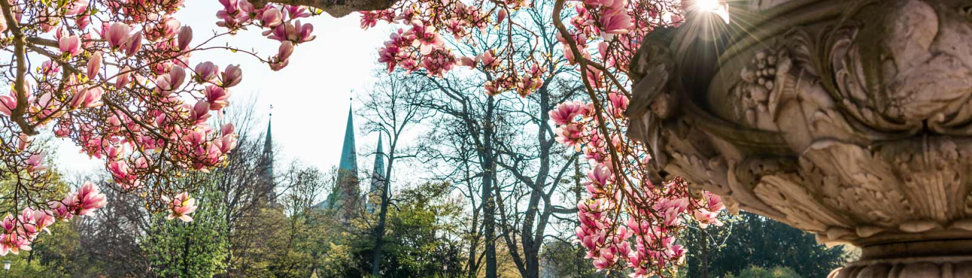 Blick in den Stadtpark