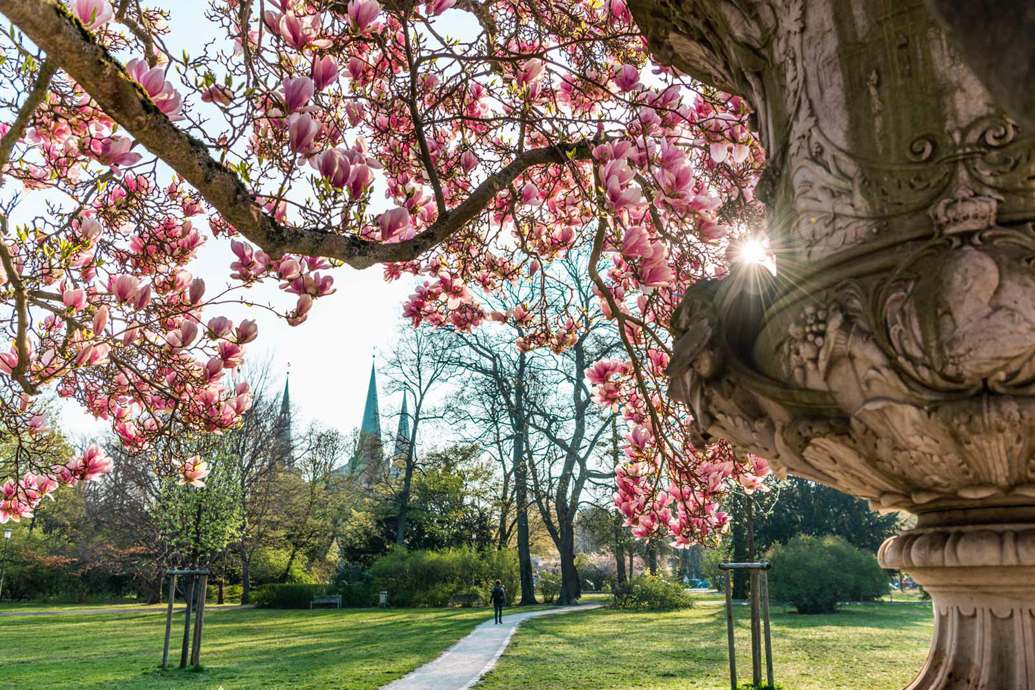 Blick vom Stadtpark Richtung Reformations-Gedächtniskirche